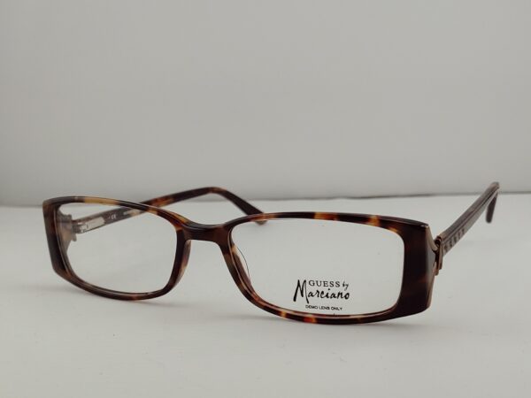 VM GM146 TORTOISE
